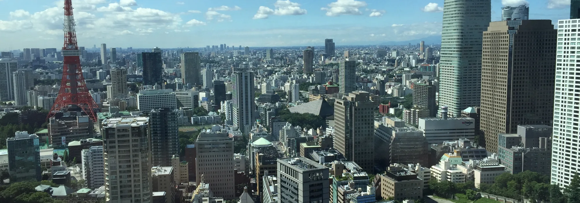 Tokyo apartment buildings seen from above