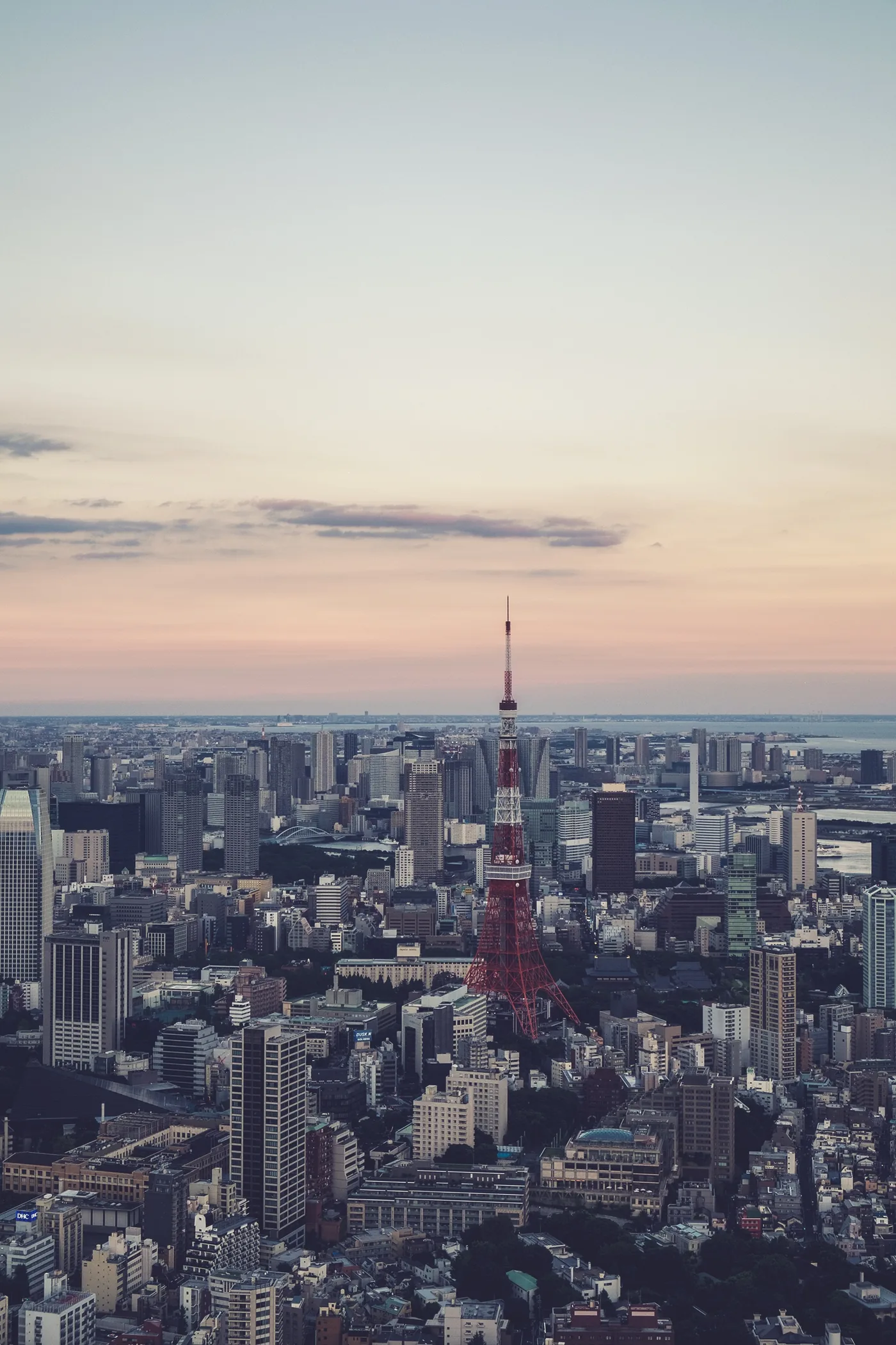 Tokyo Tower and the Tokyo skyline at dusk